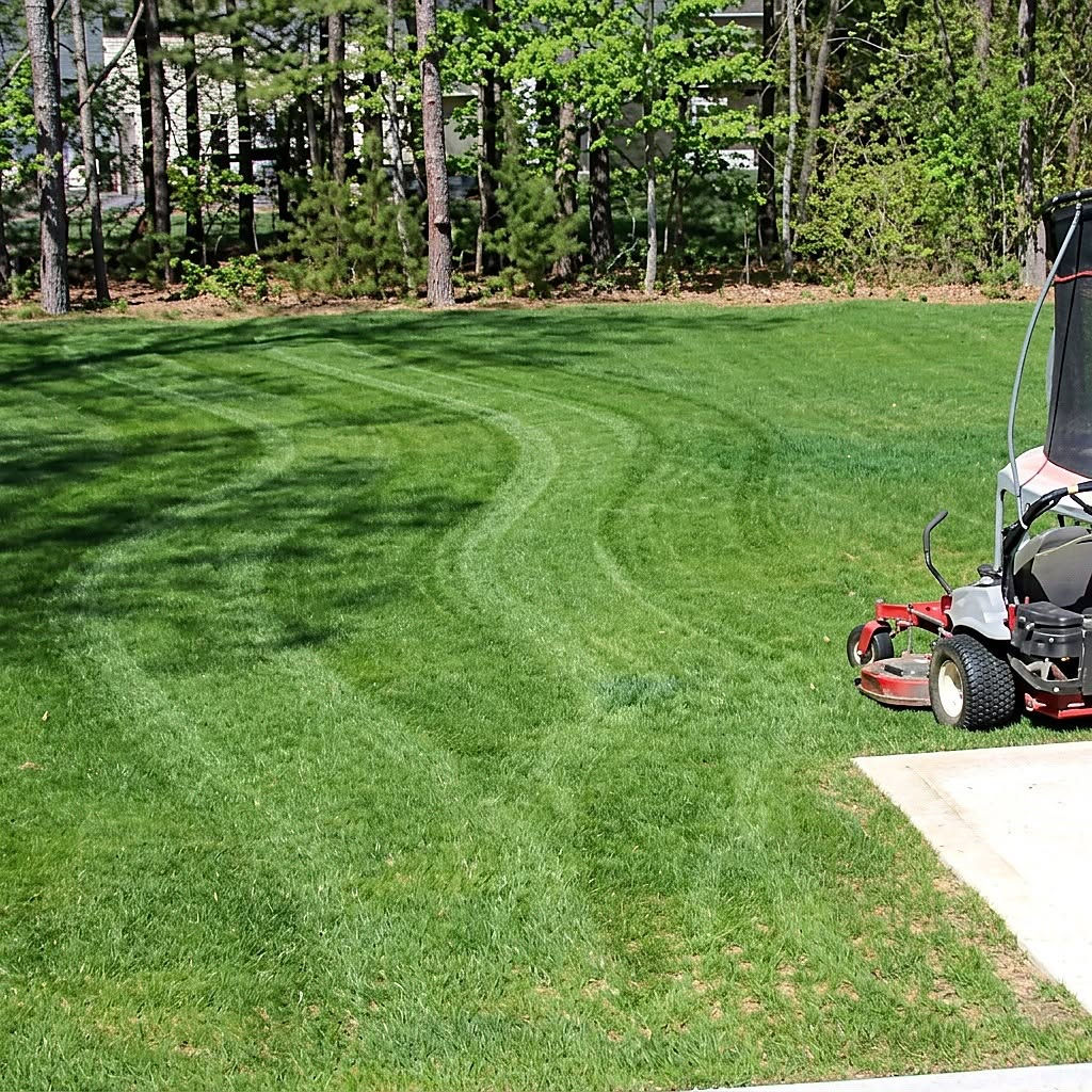 Freshly mowed striped lawn with a zero-turn mower in Bangor, MI